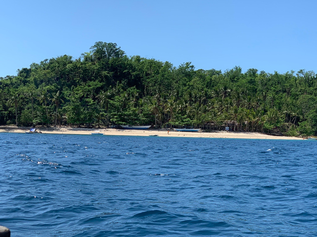 Dalutan Island景点图片
