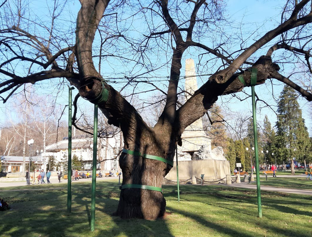 Copou Parc (Grădina Copou)-雅西必去景点
