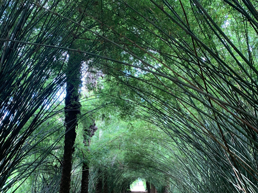 Nahampoana Reserve景点图片