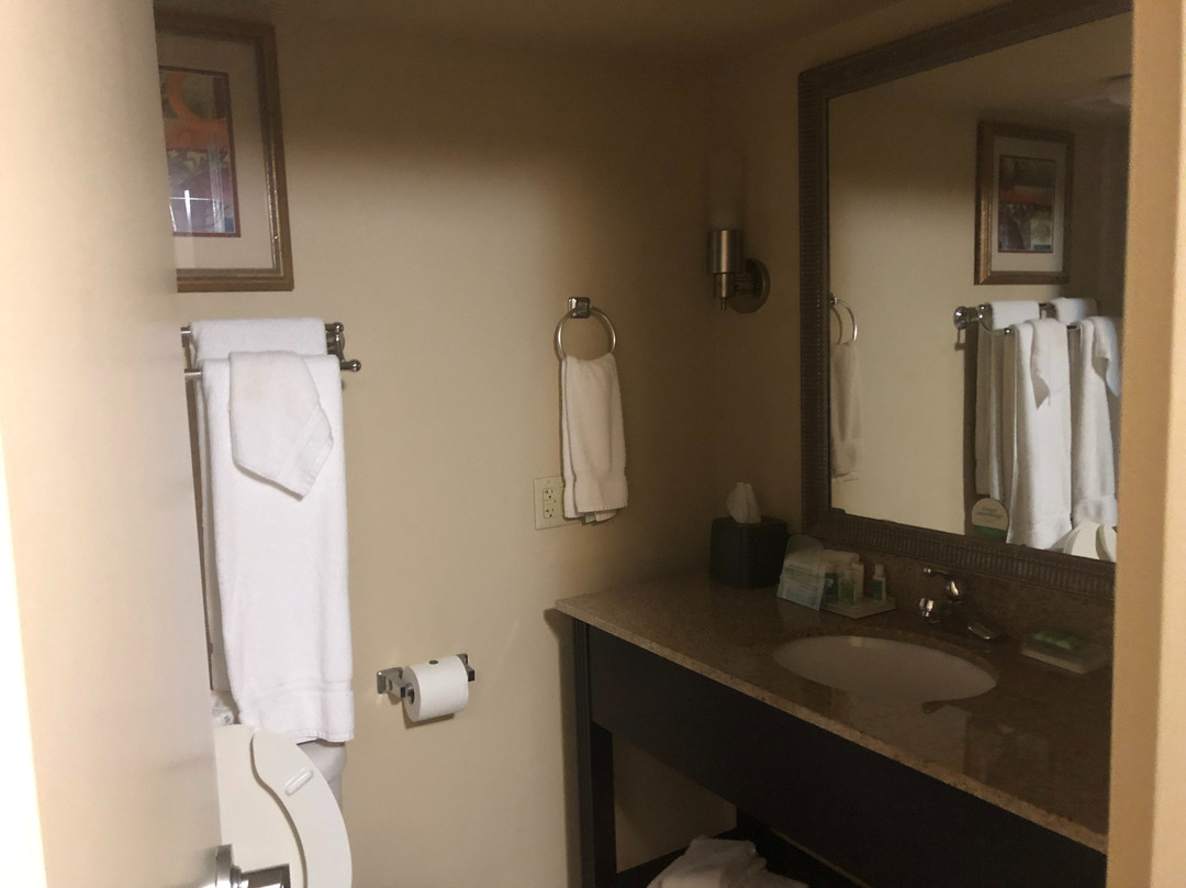 布莱斯维尔假日酒店主图