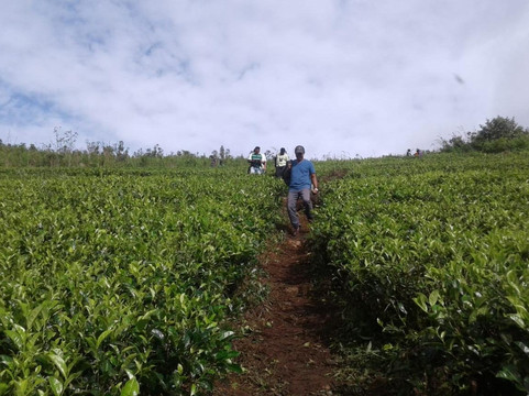 Loger-佩拉德尼亚必去景点