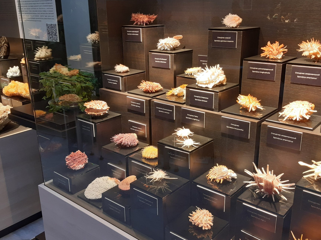 Avec Fine Arts Gallery-哈尔科夫必去景点