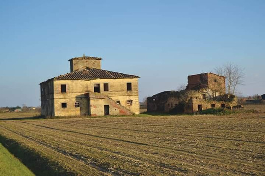 Tuscanmagic Wine Tour-科尔托纳必去景点