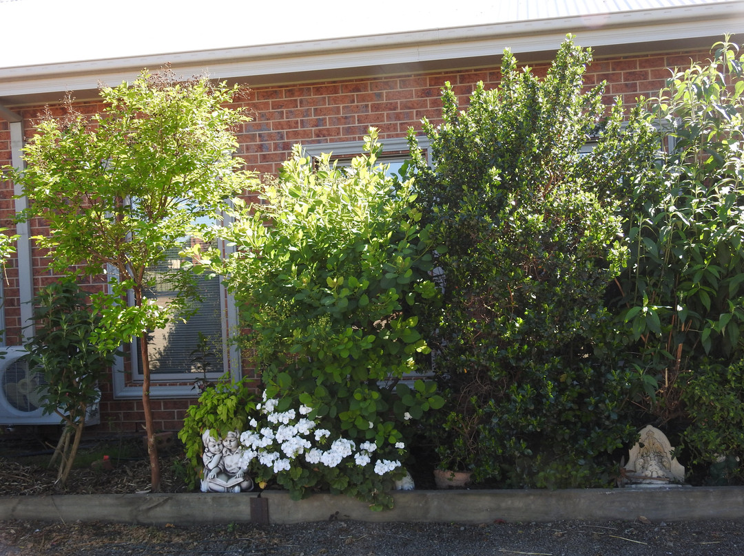 Barkly Suites Apartments主图