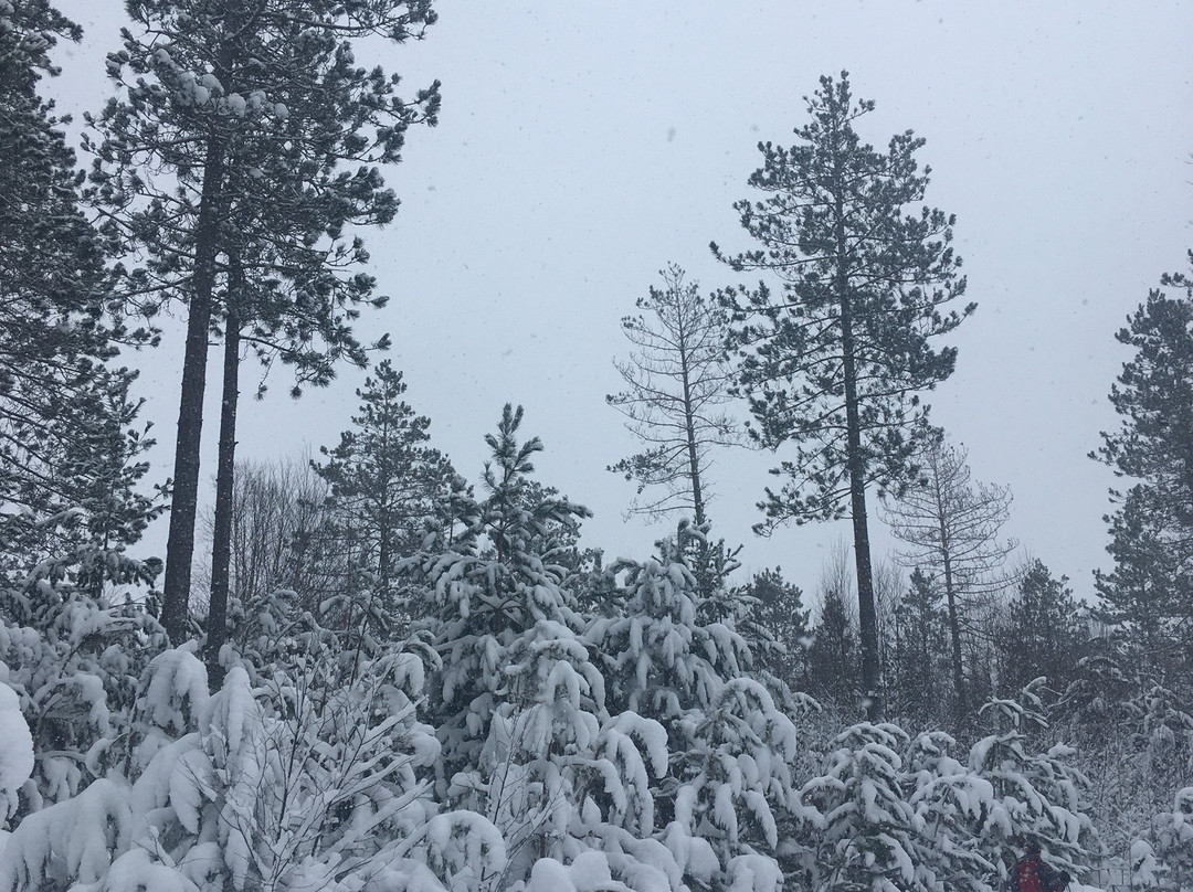 Swedetown Ski Trails-Calumet必去景点