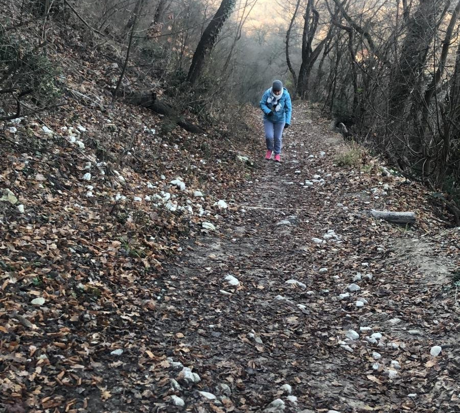 Il Sentiero dei Bregoli-雷诺河畔卡萨莱基奥必去景点