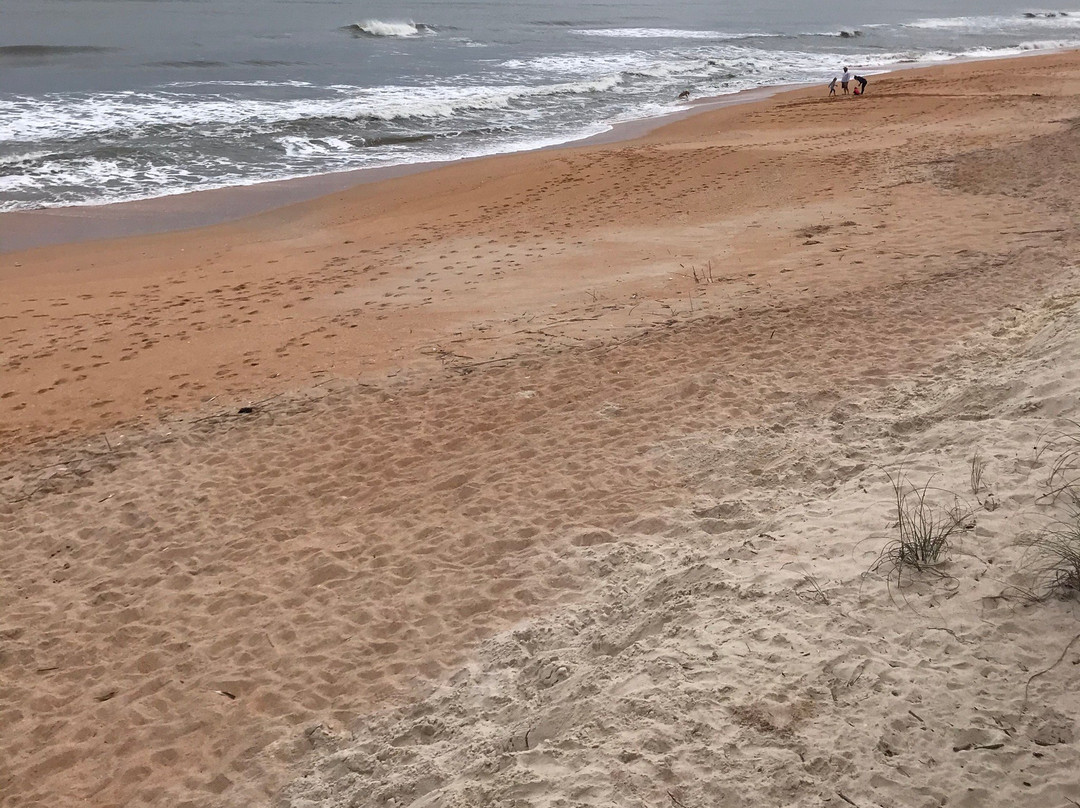 Varn Park-棕榈海岸必去景点