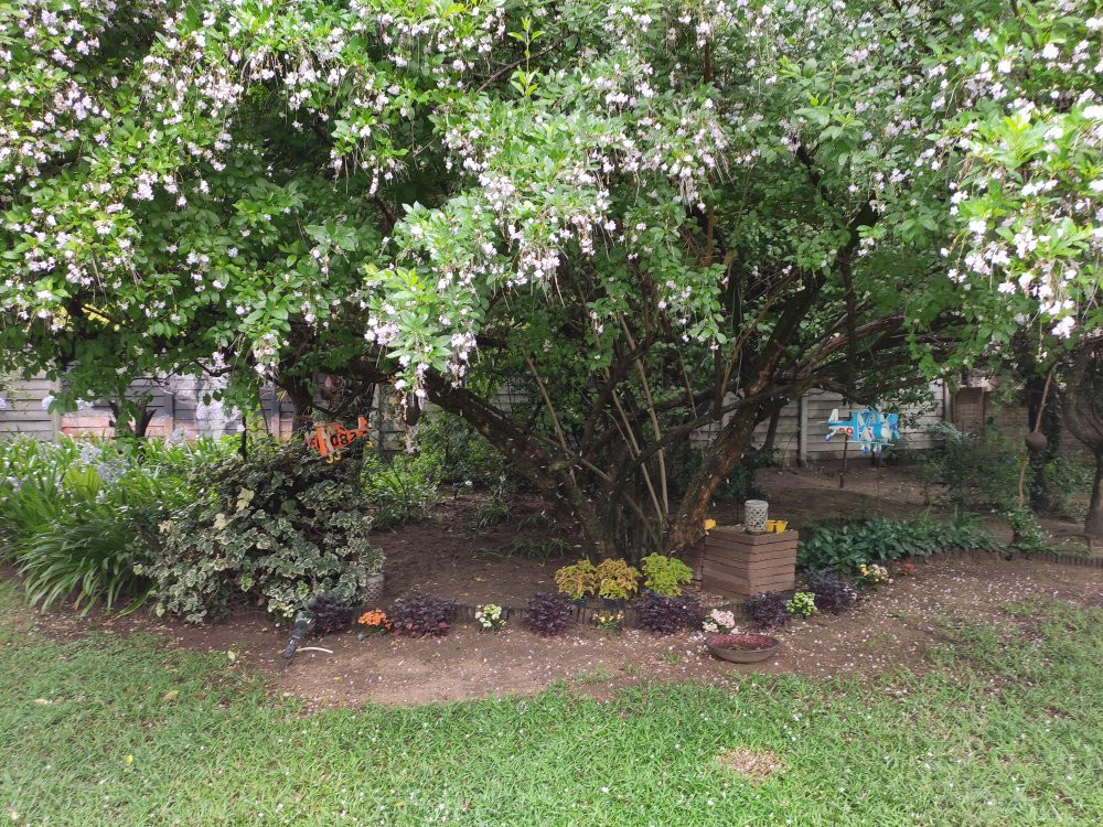 Villa D'or Guest House主图