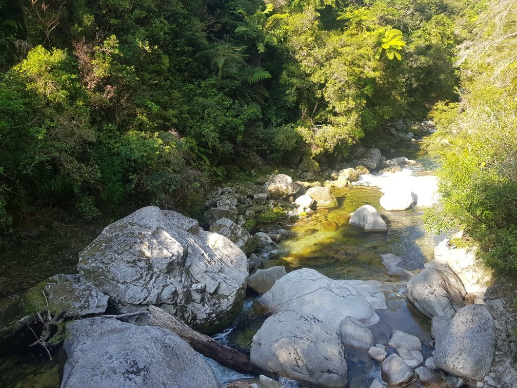 Wainui Falls Track景点图片