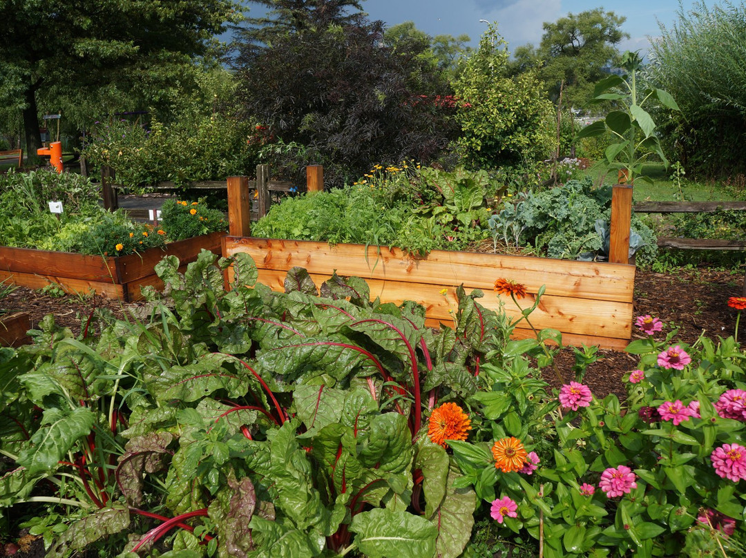Ithaca Children's Garden-伊萨卡必去景点