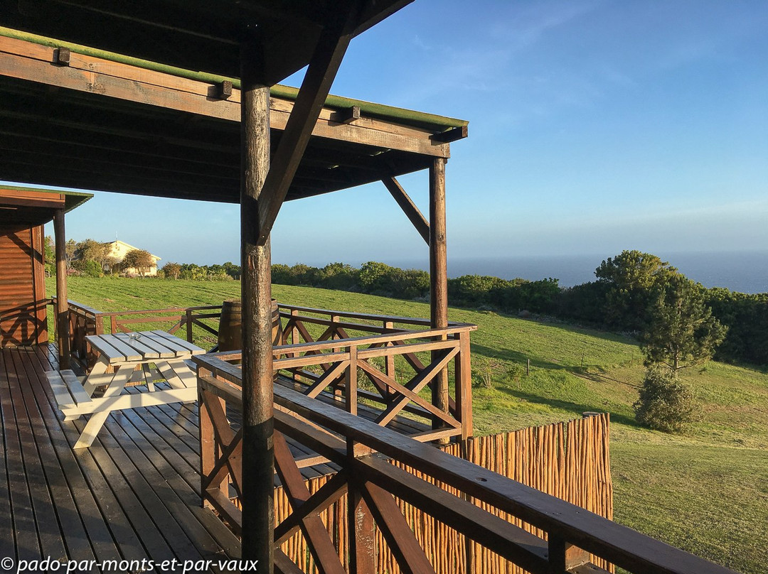 Misty Mountain Reserve主图