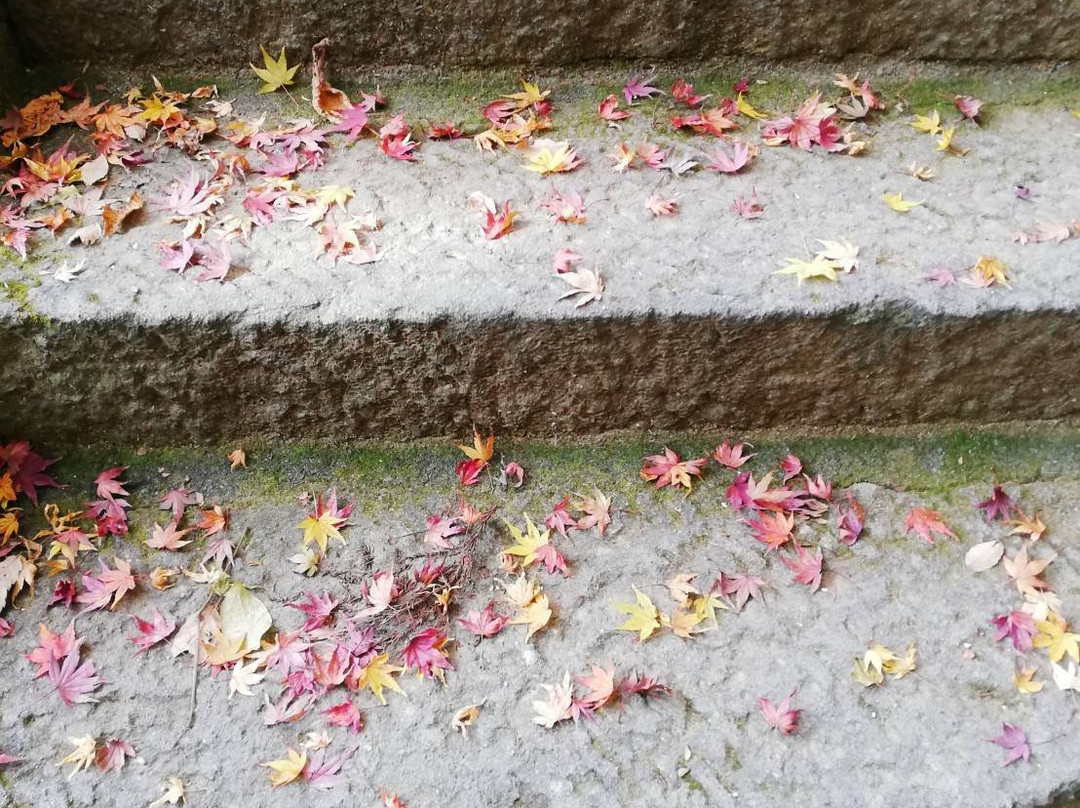 Kannon-in Temple-小鹿野町必去景点