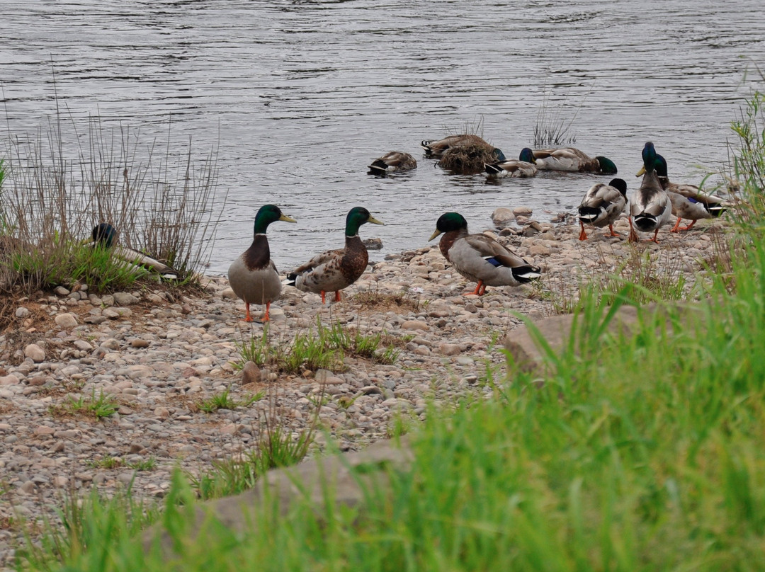 Chippewa River Trail-欧克雷尔必去景点