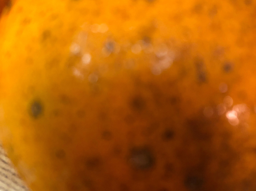 Jennings Citrus-Oxford必去景点