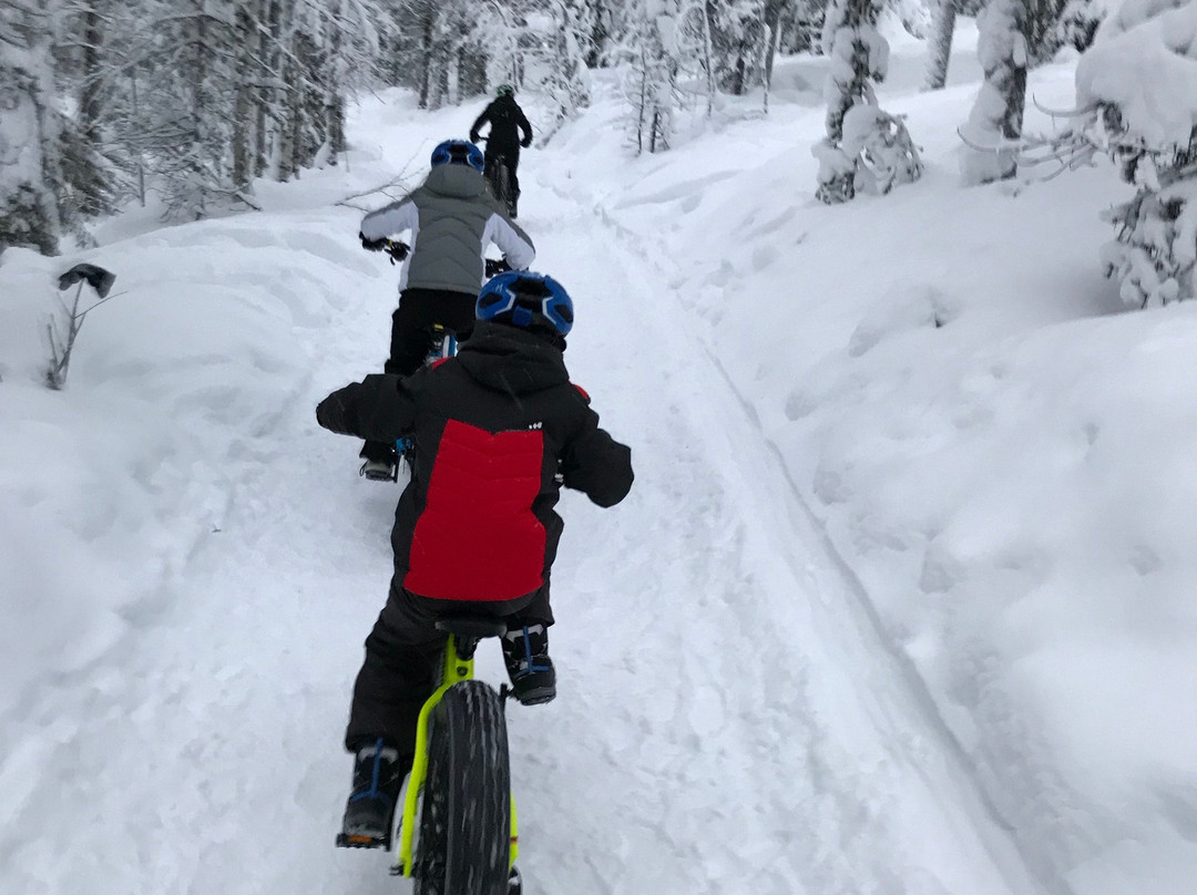 Lapland's Nature Experience-Kongas必去景点