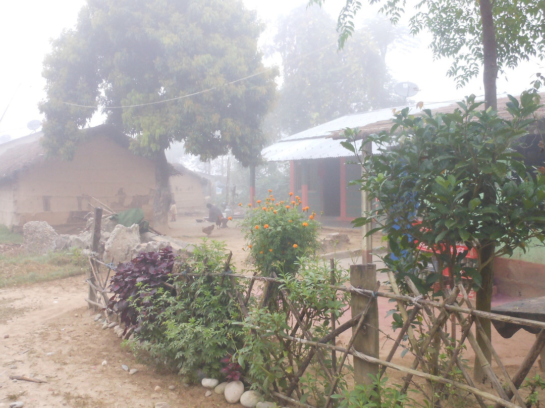 Chitwan Tharu Village-苏拉哈必去景点