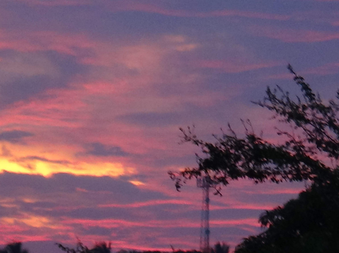 Dayz Hotel Caleta de Campos主图