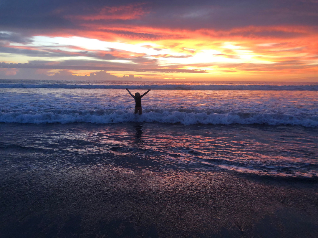 Latitude Surf Experience景点图片