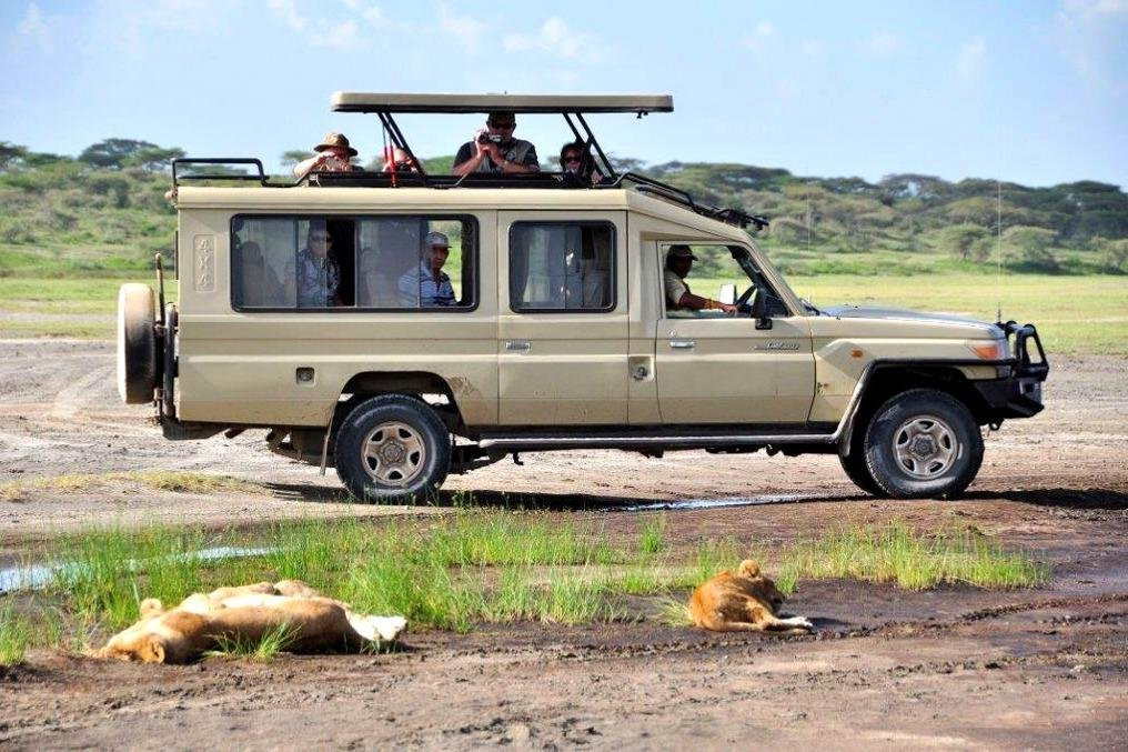 Hillstarprc Safari-Dar es Salaam必去景点