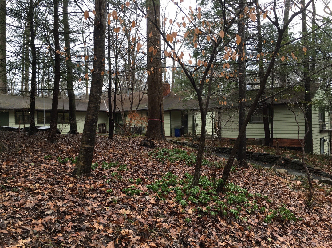 Brookside Nature Center-惠顿必去景点