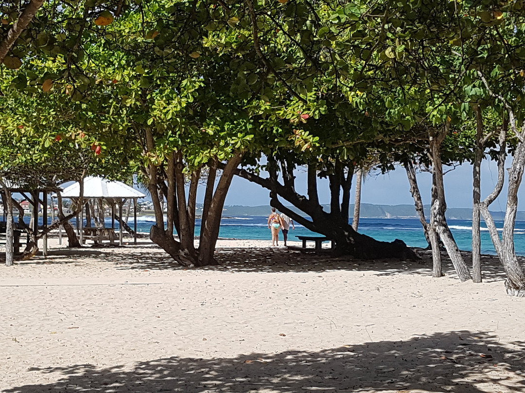 Plage de l'Autre Bord-Le Moule必去景点