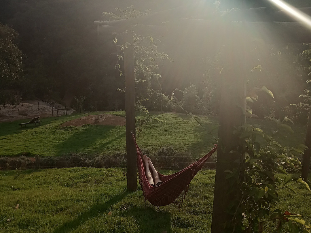 Parque Natural Terra das Cachoeiras-Bueno Brandao必去景点