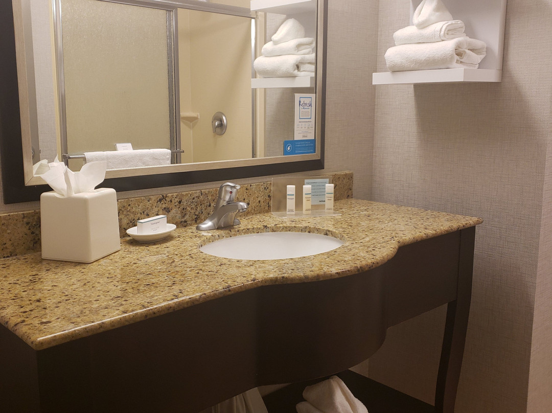 亚历山德里亚区纳什纳尔哈勃尔希尔顿恒庭旅馆&套房酒店主图