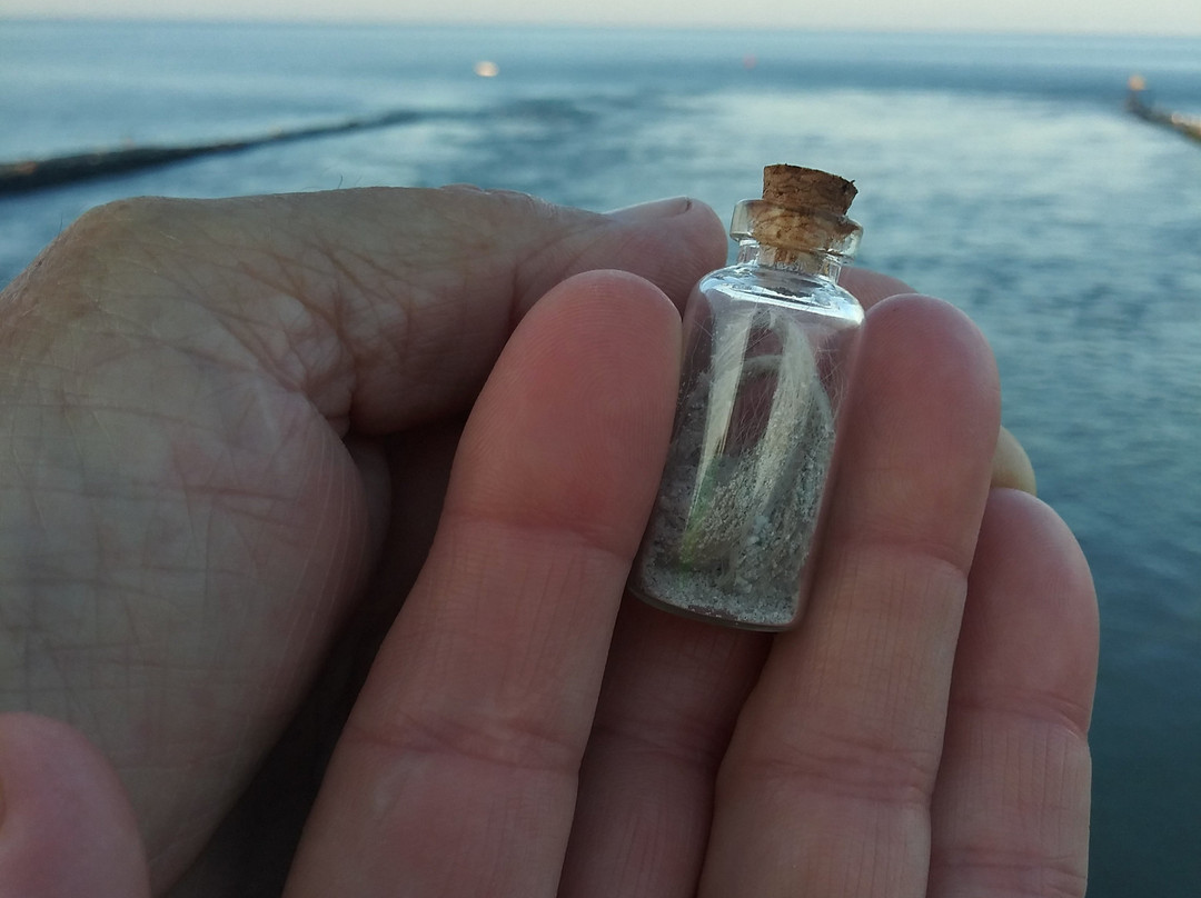 Atlantic Oceanside Dewey主图