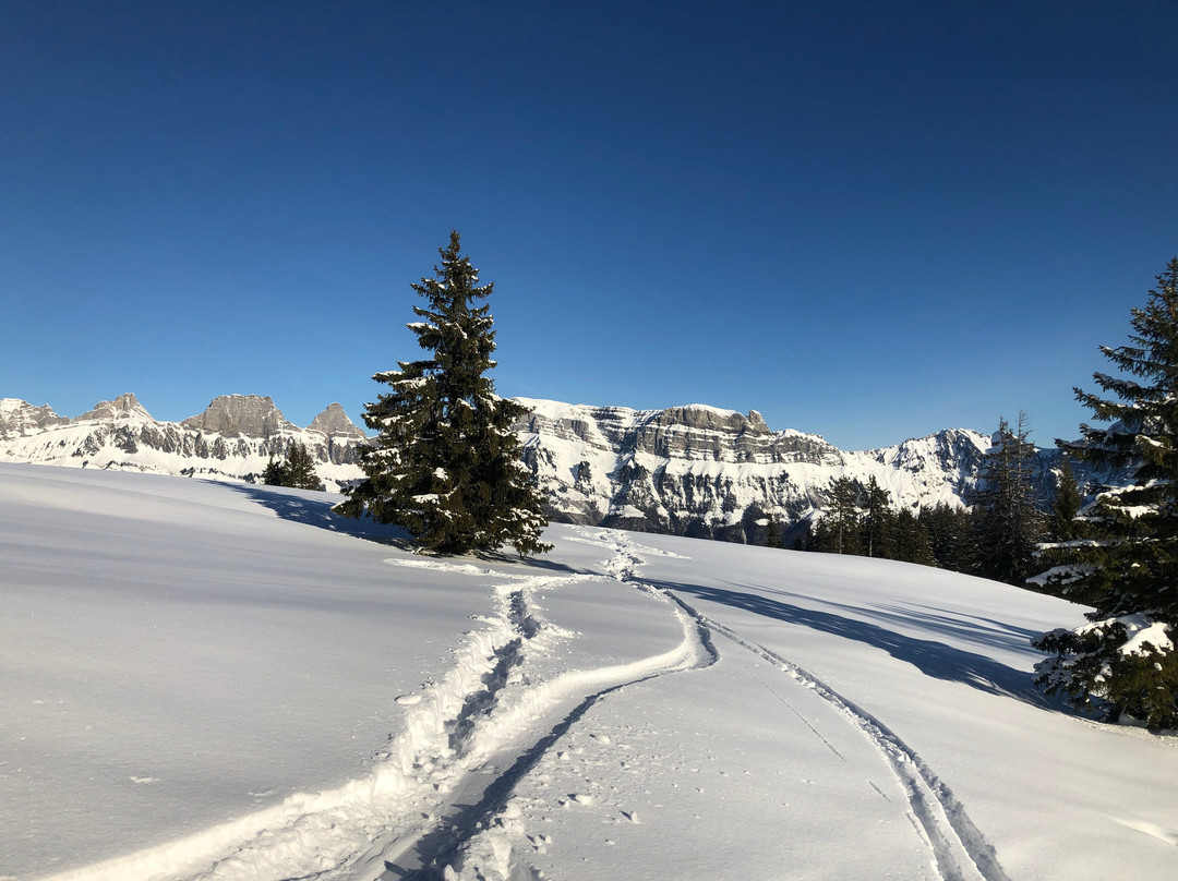 Flumserberg Bergbahnen-Flumserberg必去景点