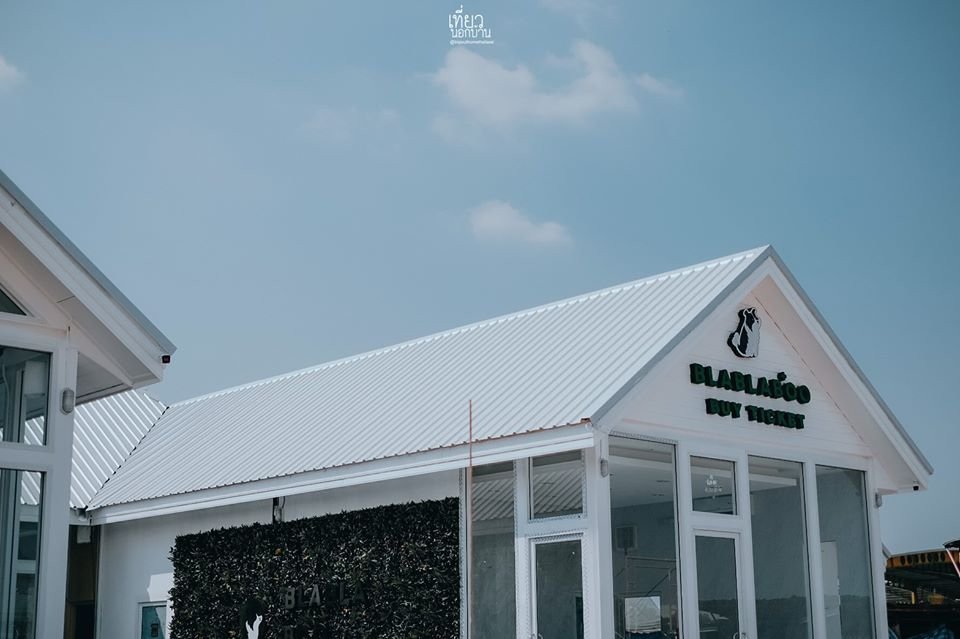 BlaBlaBoo - Premium Dog Cafe-挽巴茵必去景点