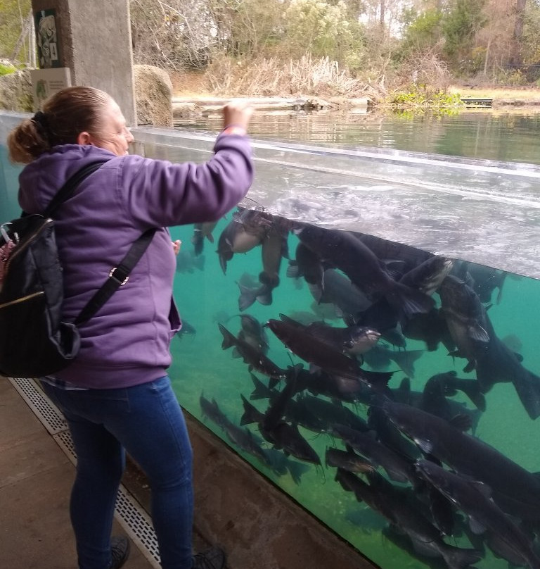 Texas Freshwater Fisheries Center-Athens必去景点