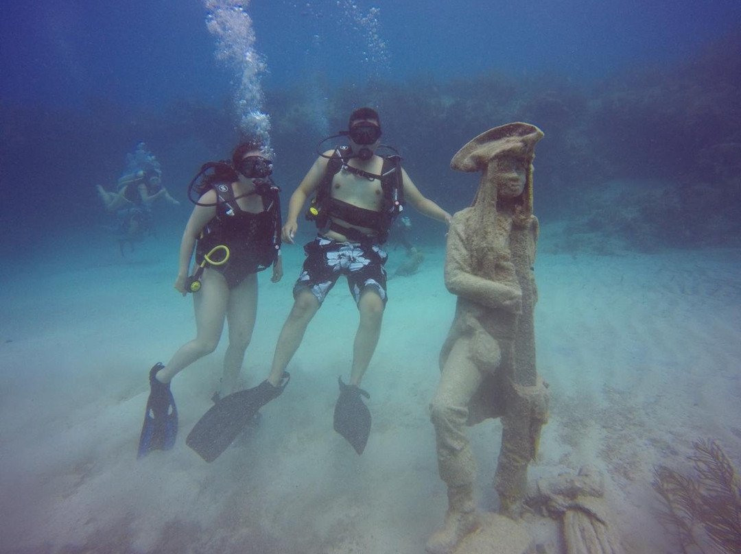 Centro De Buceo Narval景点图片