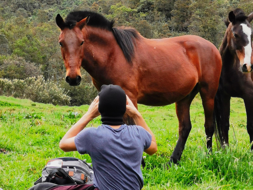 Marc King-昆卡必去景点