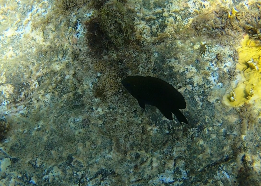 Madisail-Case-Pilote必去景点