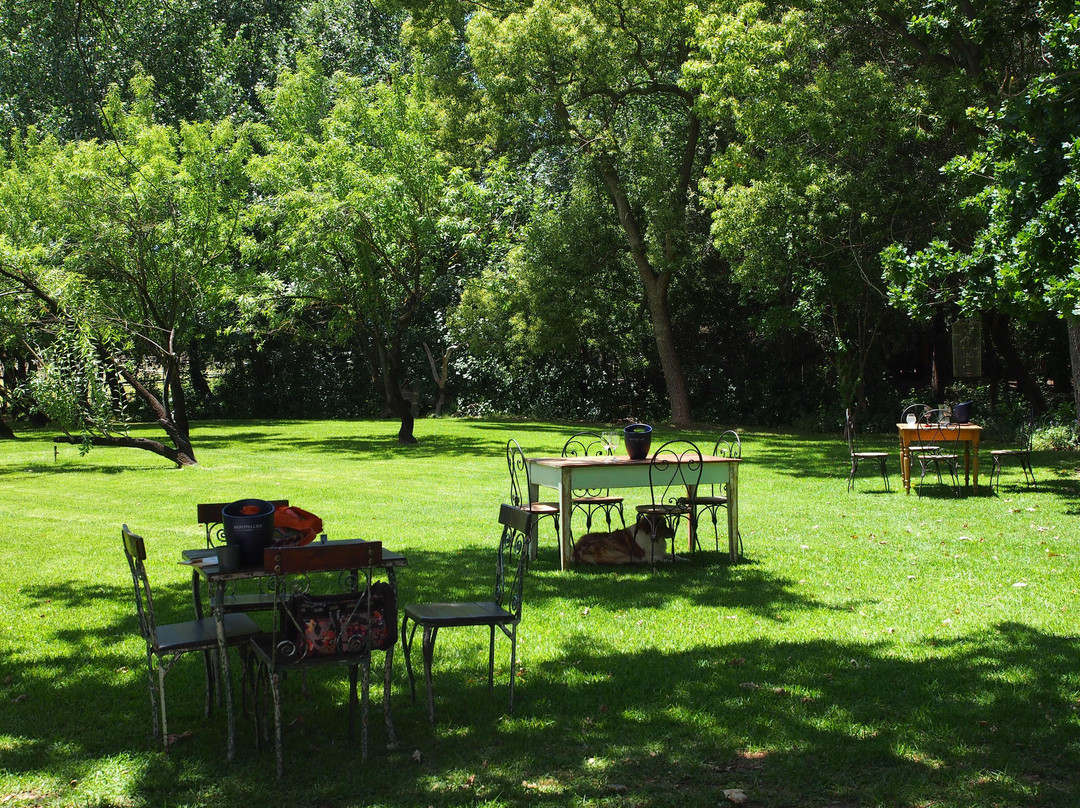 Montpellier De Tulbagh主图