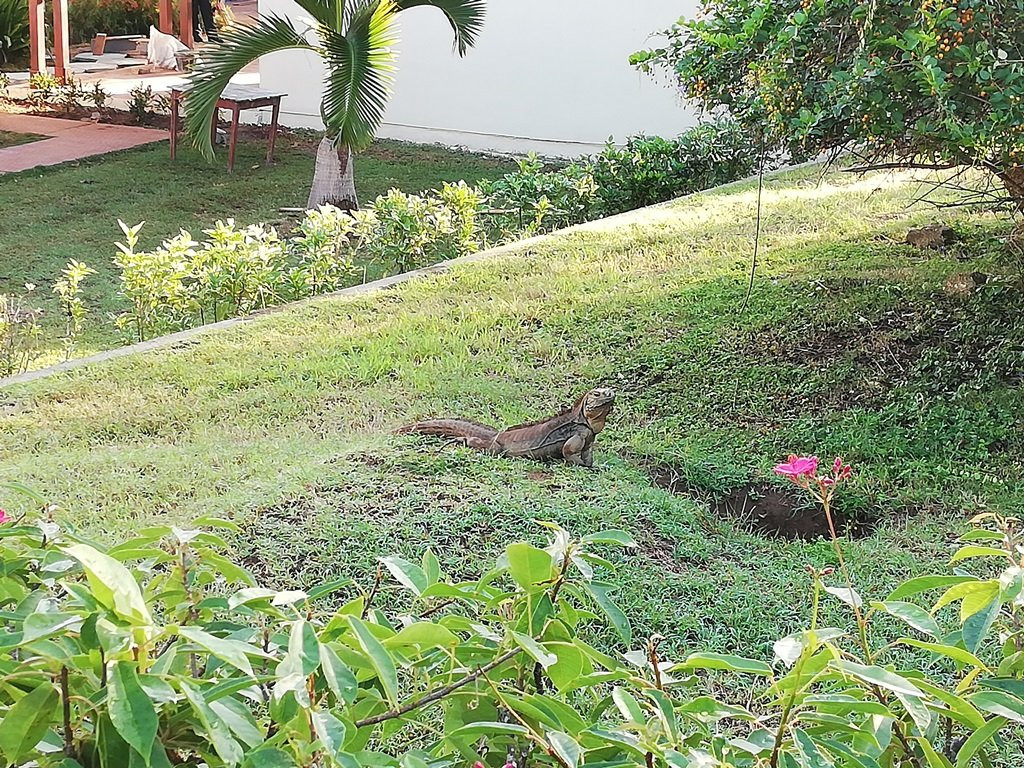 Villa Cayo Saetia主图