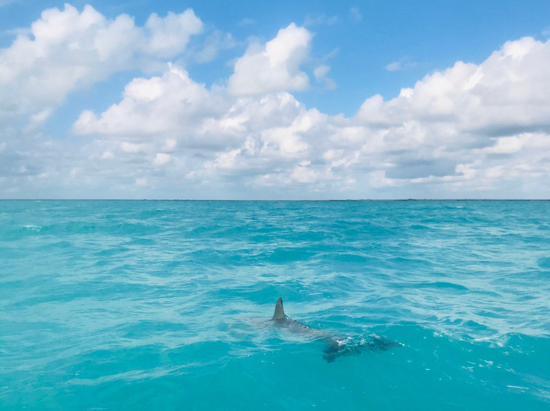 iTour-图伦必去景点