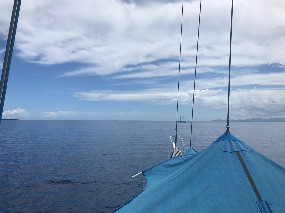 Whale's Tale Cruises Fiji景点图片