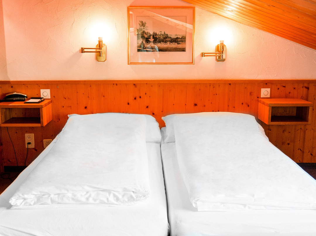 Hillsite Hotel Flims主图