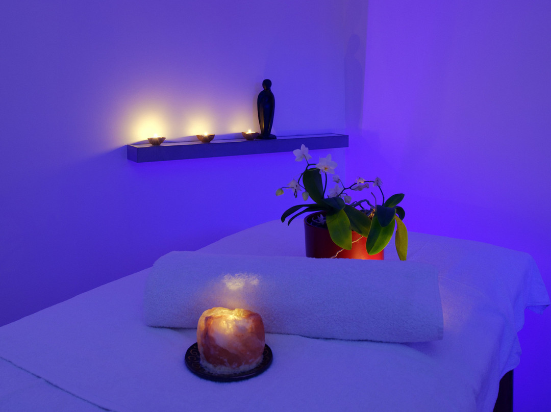 Centre Ayurvedique Aum Shanti景点图片