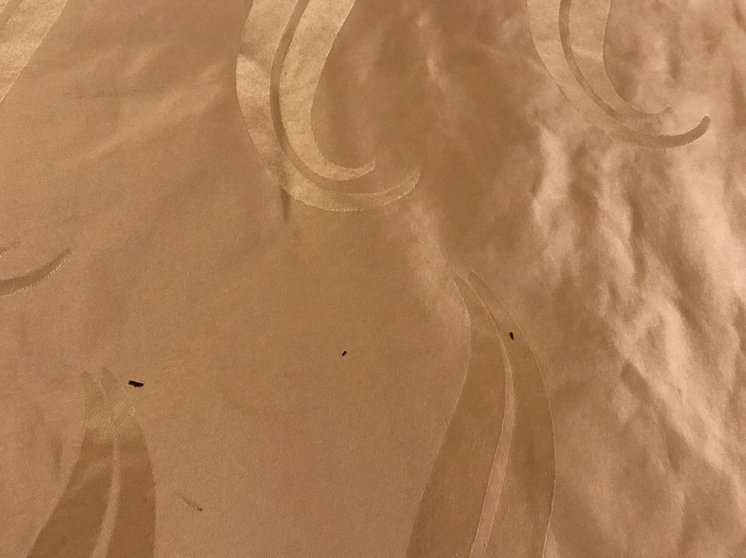 SureStay Plus By Best Western Silver City主图