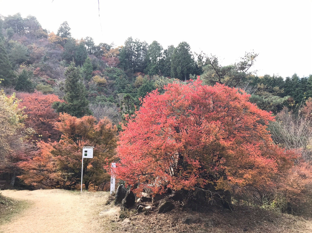 Mt. Miyaji-丰川市必去景点