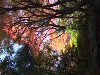 Asahi Beer Oyamazaki Villa Museum of Art-大山崎町必去景点