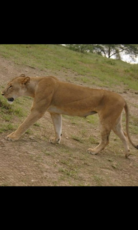 Pottos Adventures-阿鲁沙必去景点
