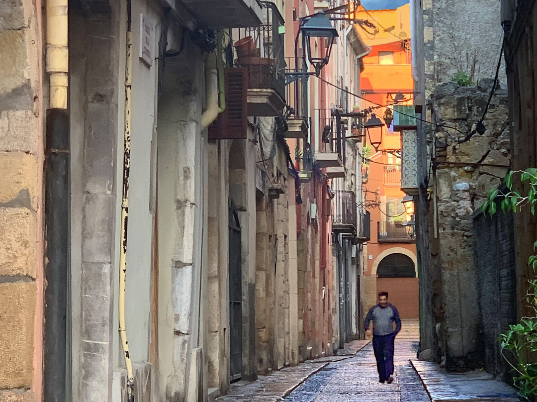 Antiga Casa Del Consolat Tarragoni景点图片