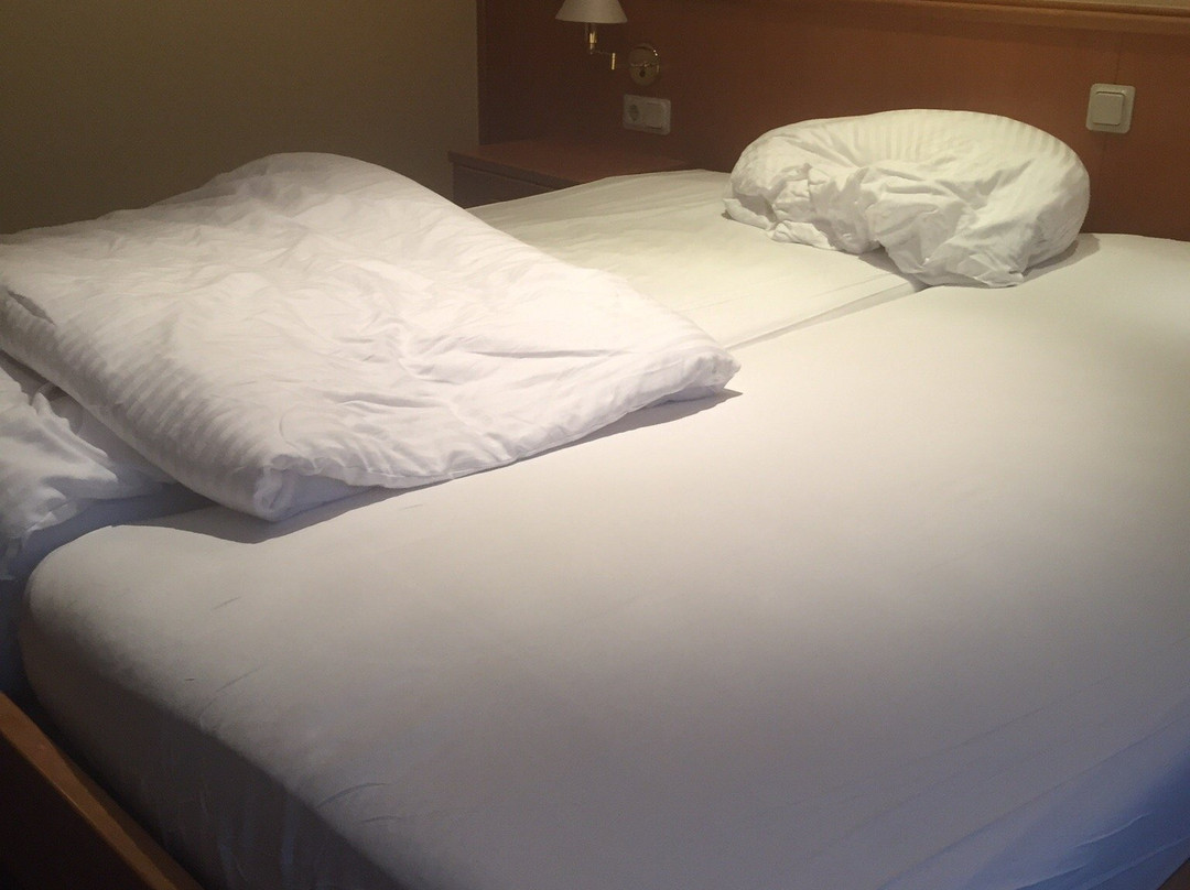 Hotel zur Linde主图