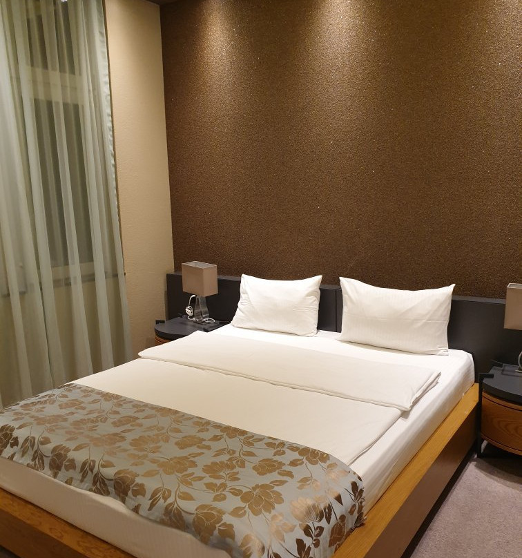 Plaza Hotel Winterthur主图