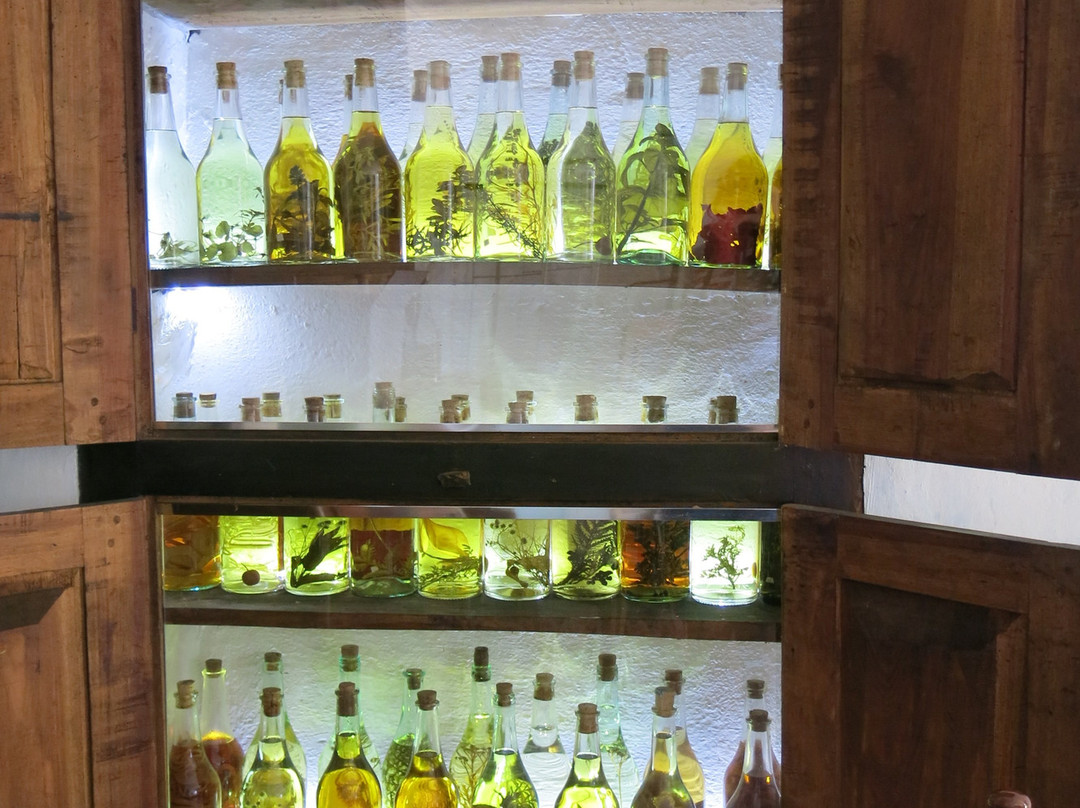 Distilleria Levi Serafino景点图片