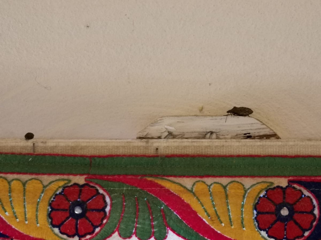 Nirali Resorts主图