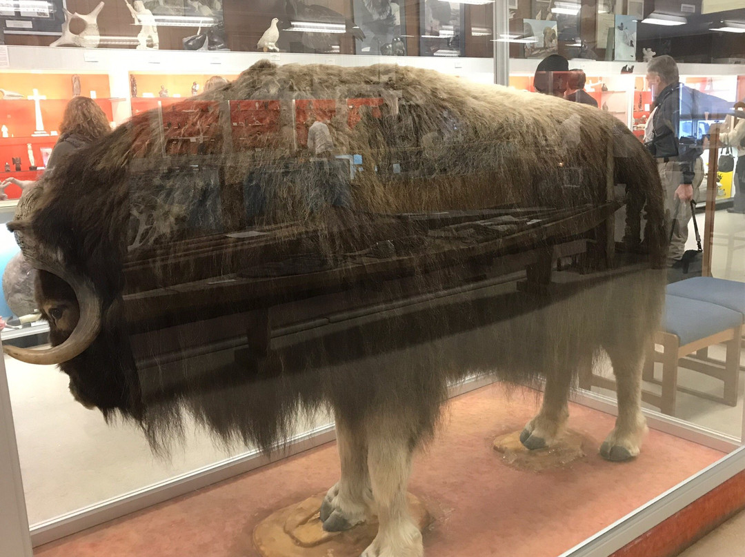 Itsanitaq Museum-丘吉尔必去景点